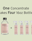 Stone Shine & Polish Concentrate 4x