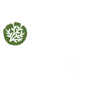 Athos Cleaning Services
